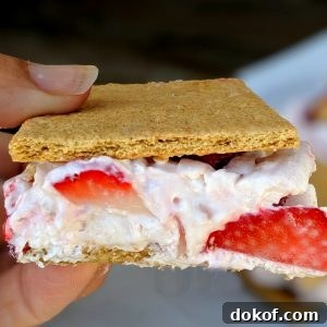 Graham Cracker Ice Cream Sandwich