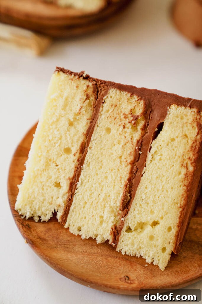 Buttery yellow cake with chocolate frosting
