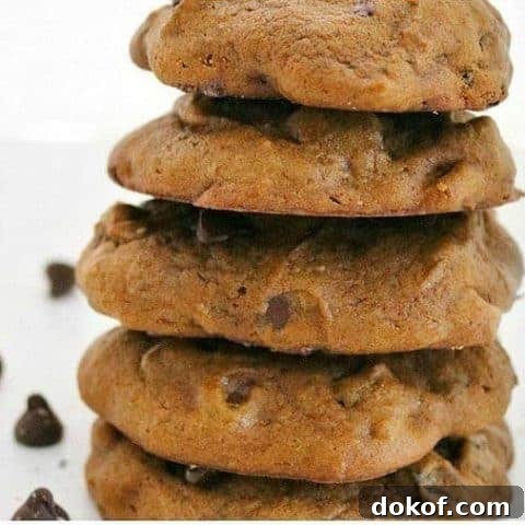 pumpkin chocolate chip cookies